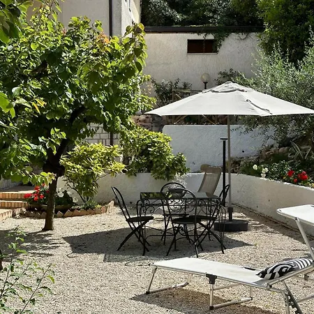 Albicocca * Falconara Marittima